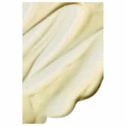 Crème hydratante riche en omégas Salvation Jane - 50 ml