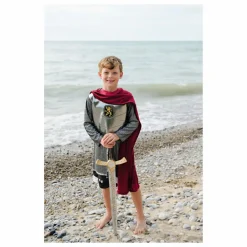 Déguisement de chevalier avec sa cape | Argenté