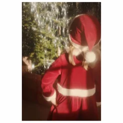 Déguisement de Noël  | Rouge
