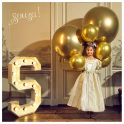 Déguisement Princesse Frédérique