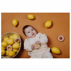 Donut sensoriel Citrons