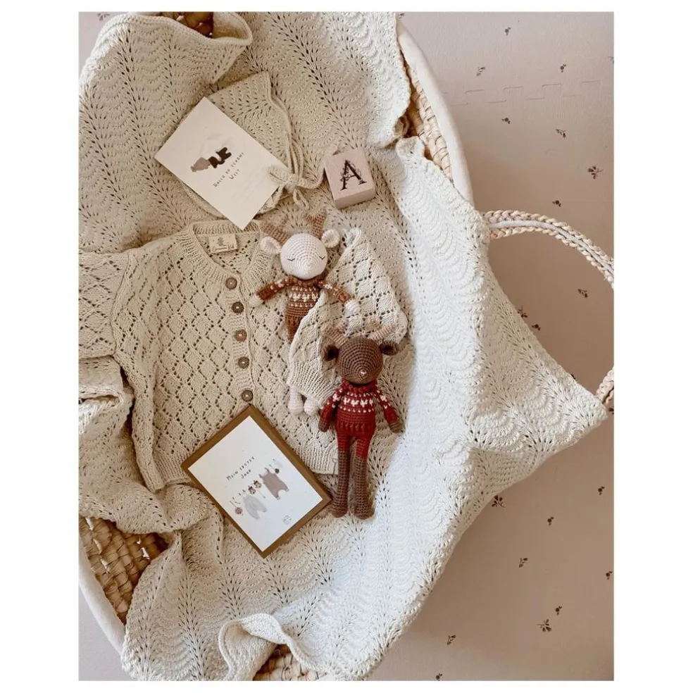 Doudou Robin le Renne | Sienne