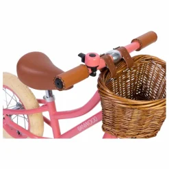 Draisienne First Go 12