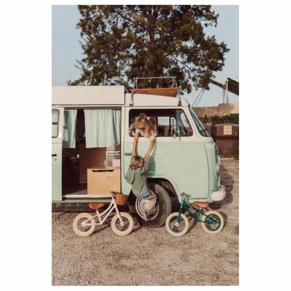 Draisienne First Go 12" | Rose