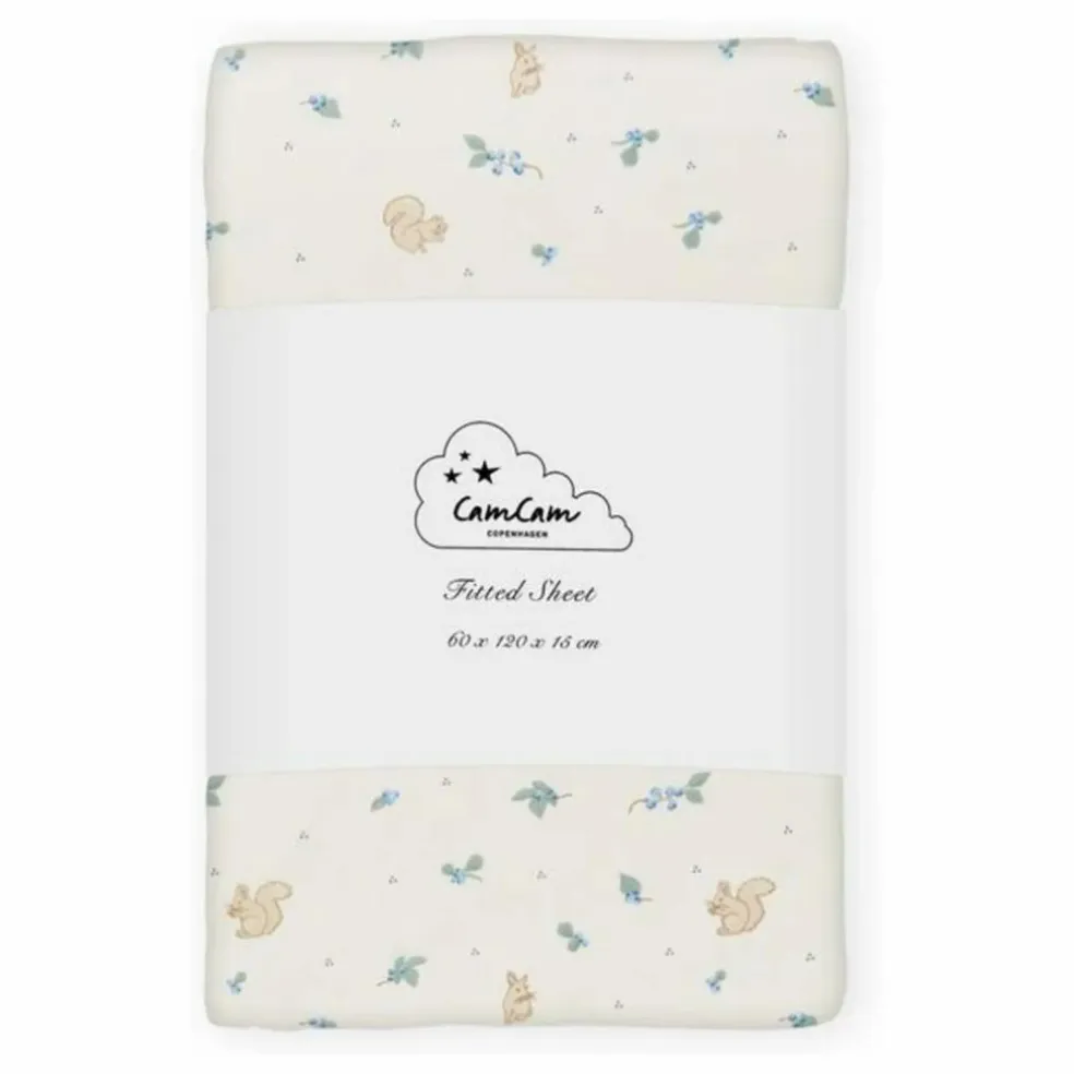 Drap-housse Blueberries