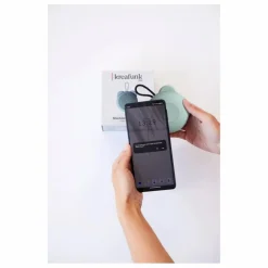 Enceinte bluetooth Roar | Sauge