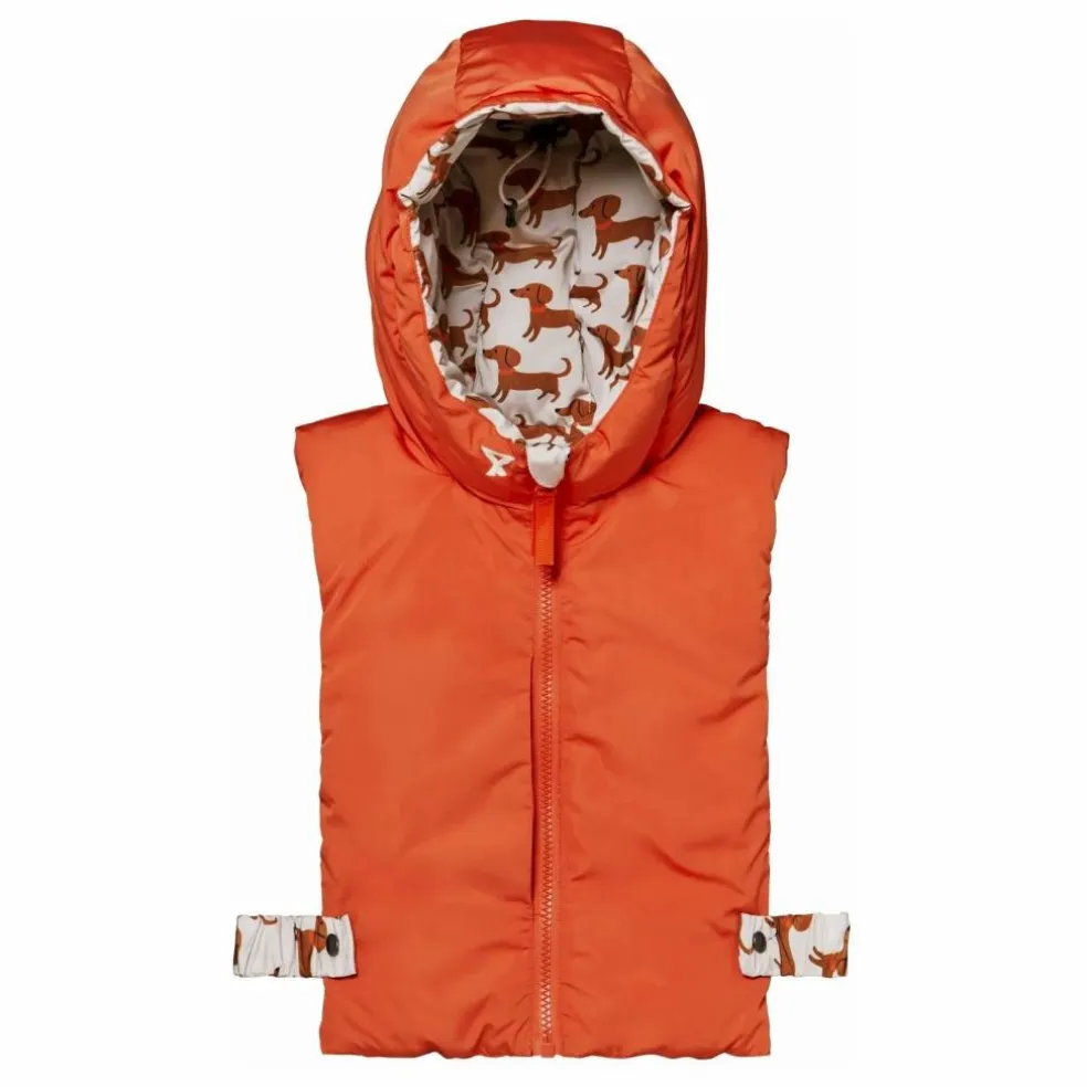 Exclusivité Fudoon X Smallable - Capuche Doudoune Réversible Teckels | Beige
