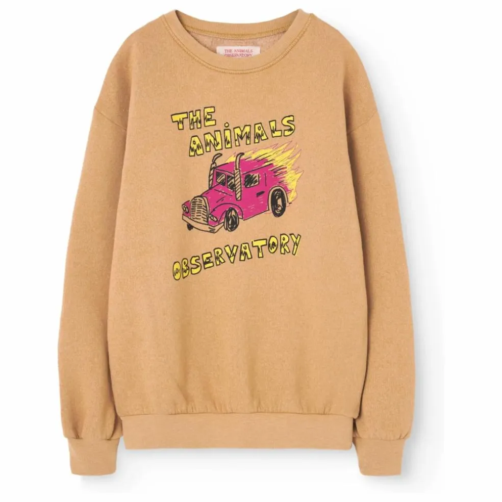 Exclusivité The Animals Observatory X Smallable - Sweat Bear | Beige