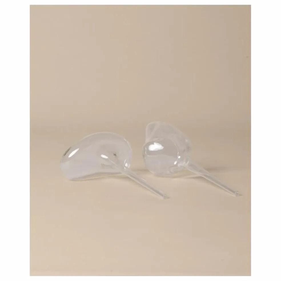 Globes d'arrosage - Set de 2