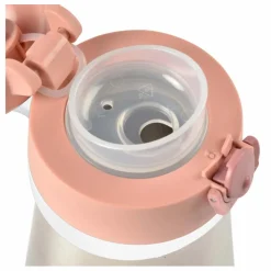 Gourde en inox - 350 ml | Vieux Rose