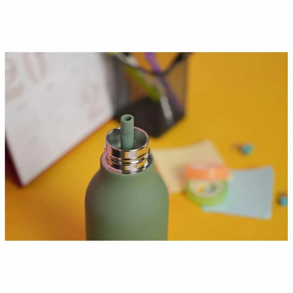 Gourde en inox Dinosaure | Vert
