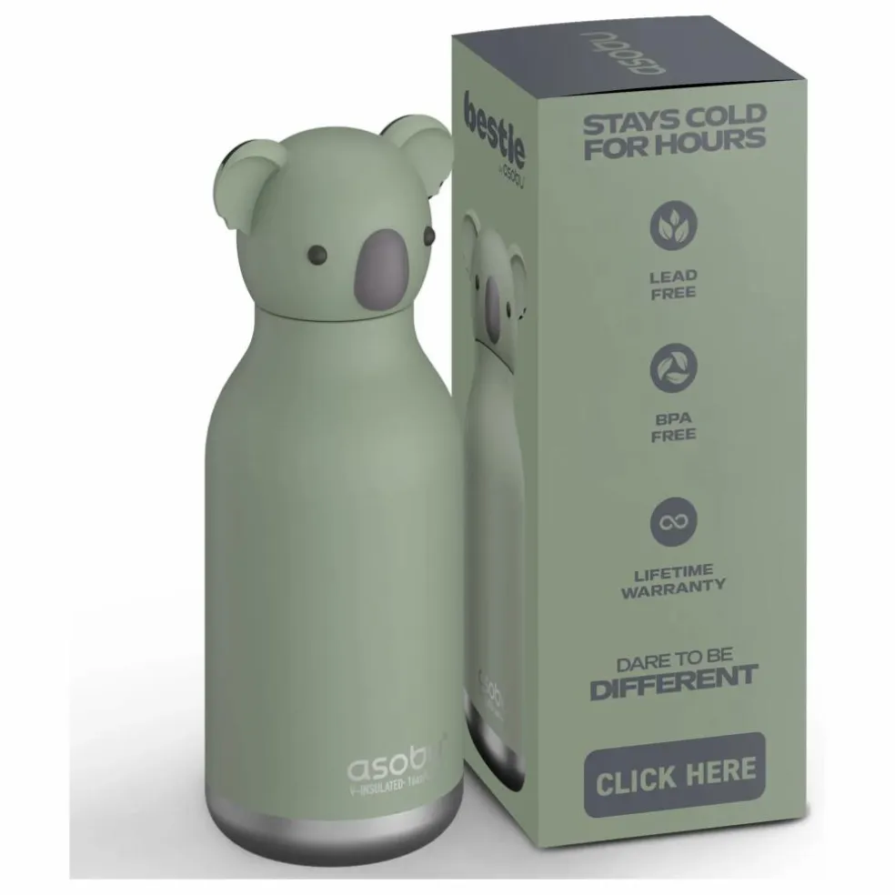 Gourde en inox Koala | Gris