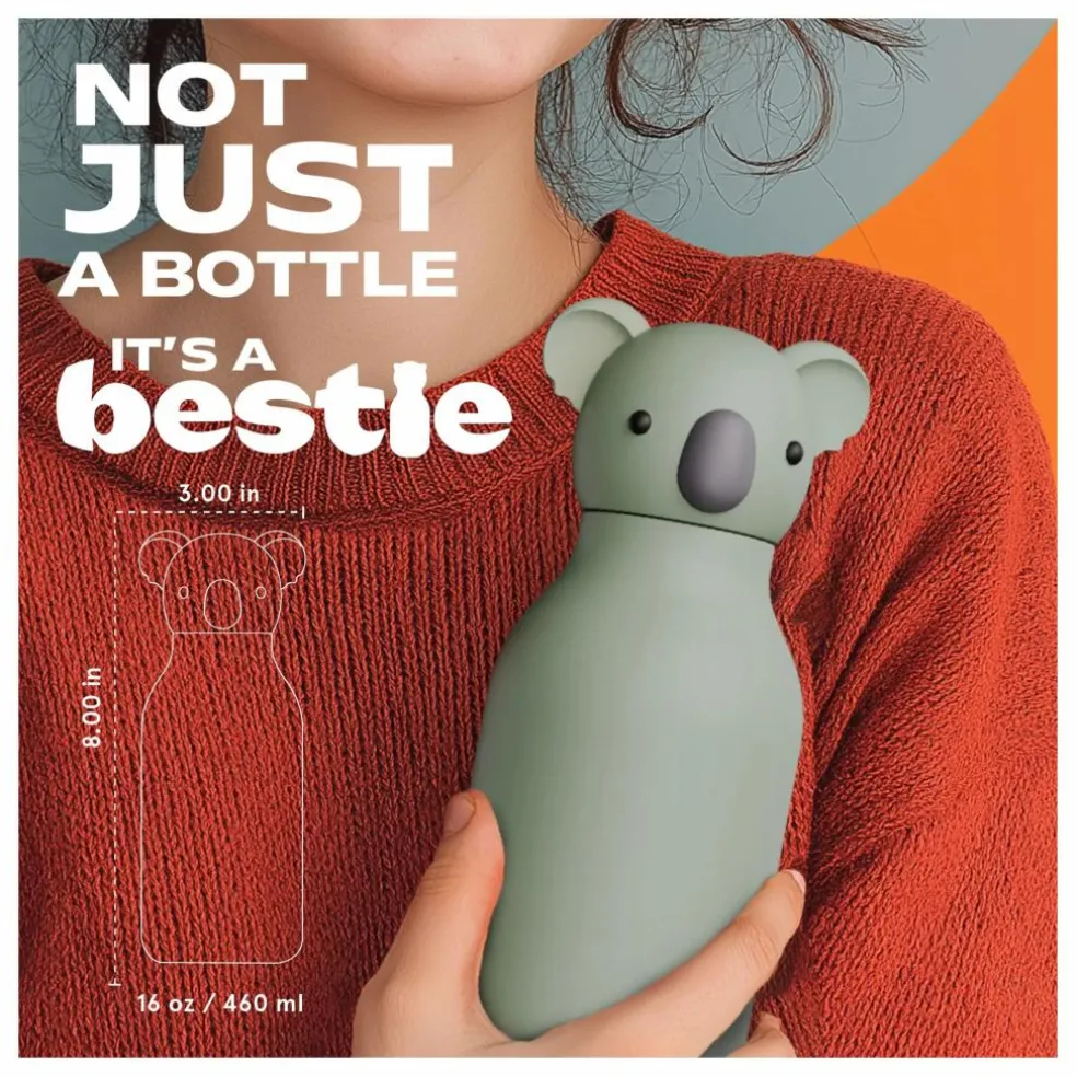 Gourde en inox Koala | Gris