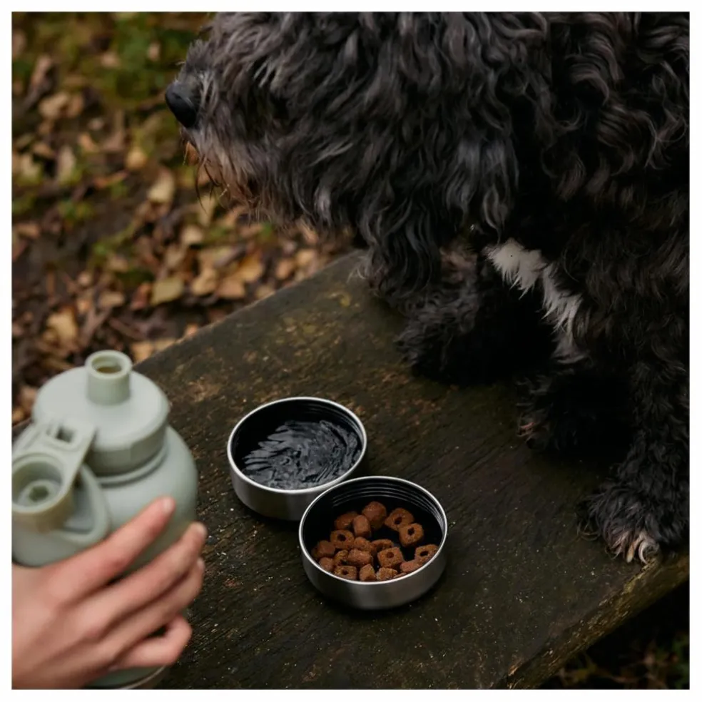 Gourde pour chien Haps Go - 900 ml | Vert Menthe