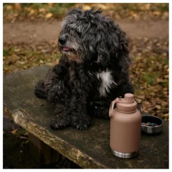 Gourde pour chien Haps Go - 900 ml | Marron