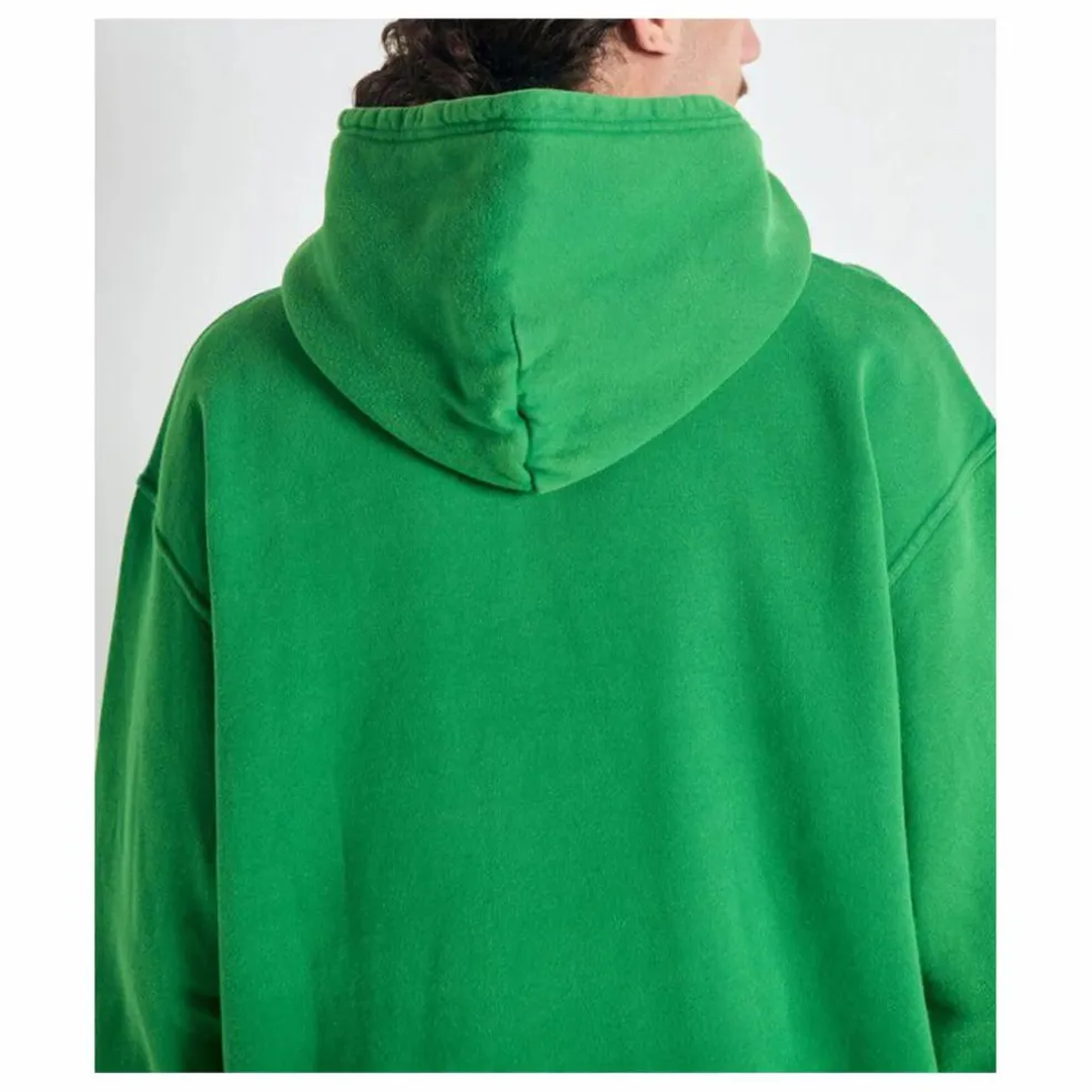 Hoodie Plizzy | Vert