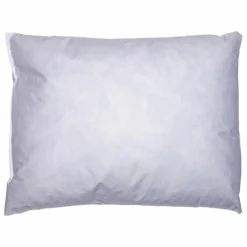 Intérieur de coussin en plumes | Blanc