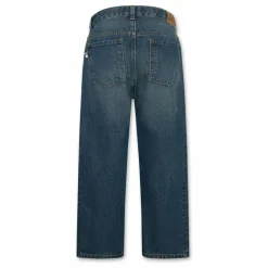 Jean Finn Medium | Denim