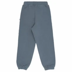Jogger Amara Coton Responsable | Bleu gris