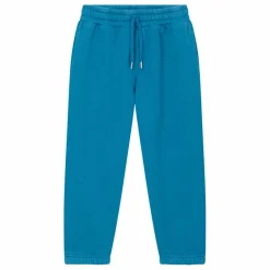 Jogging Slim Garçon Coton Bio | Bleu azur