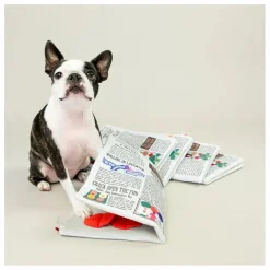 Jouet de fouille Newspapper | Multicolore
