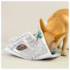 Jouet de fouille Newspapper | Multicolore