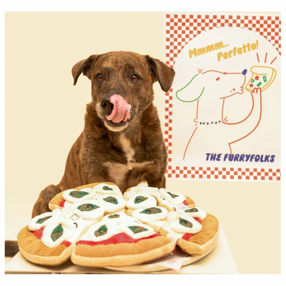 Jouet de fouille Pizza