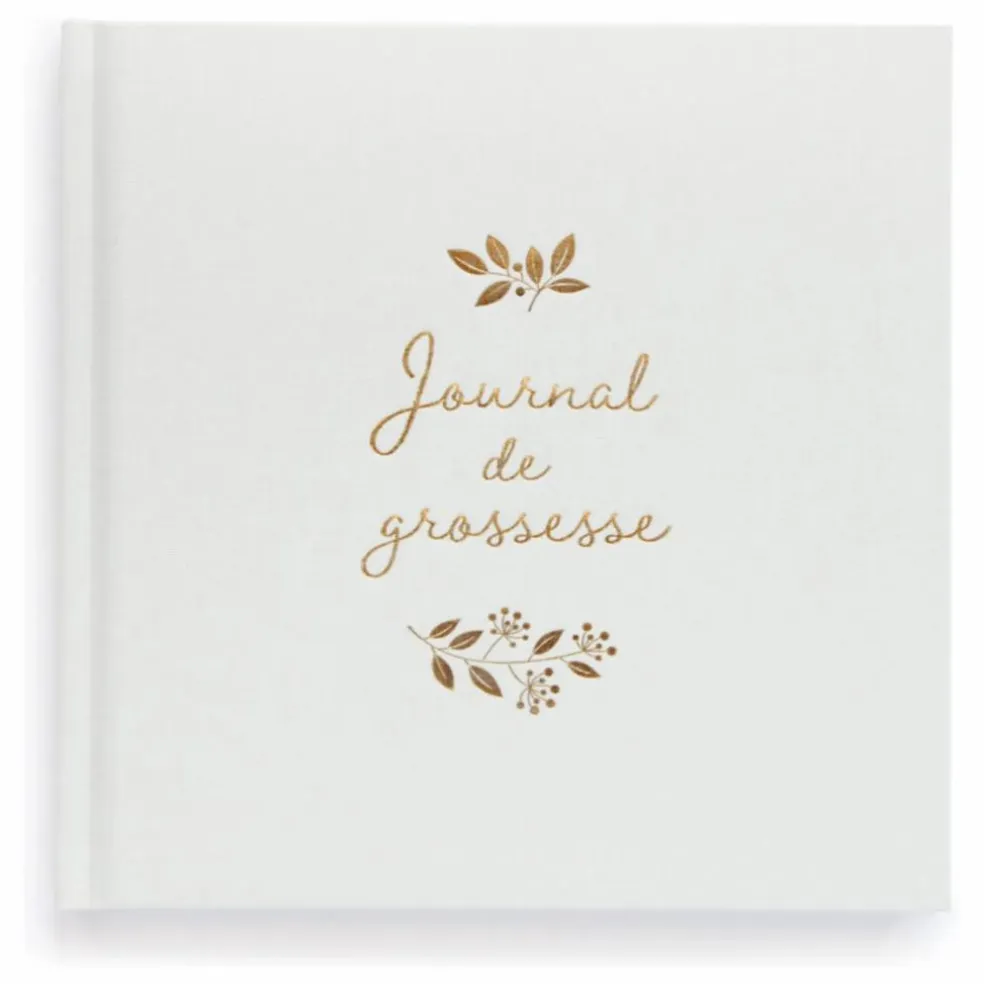 Journal de grossesse