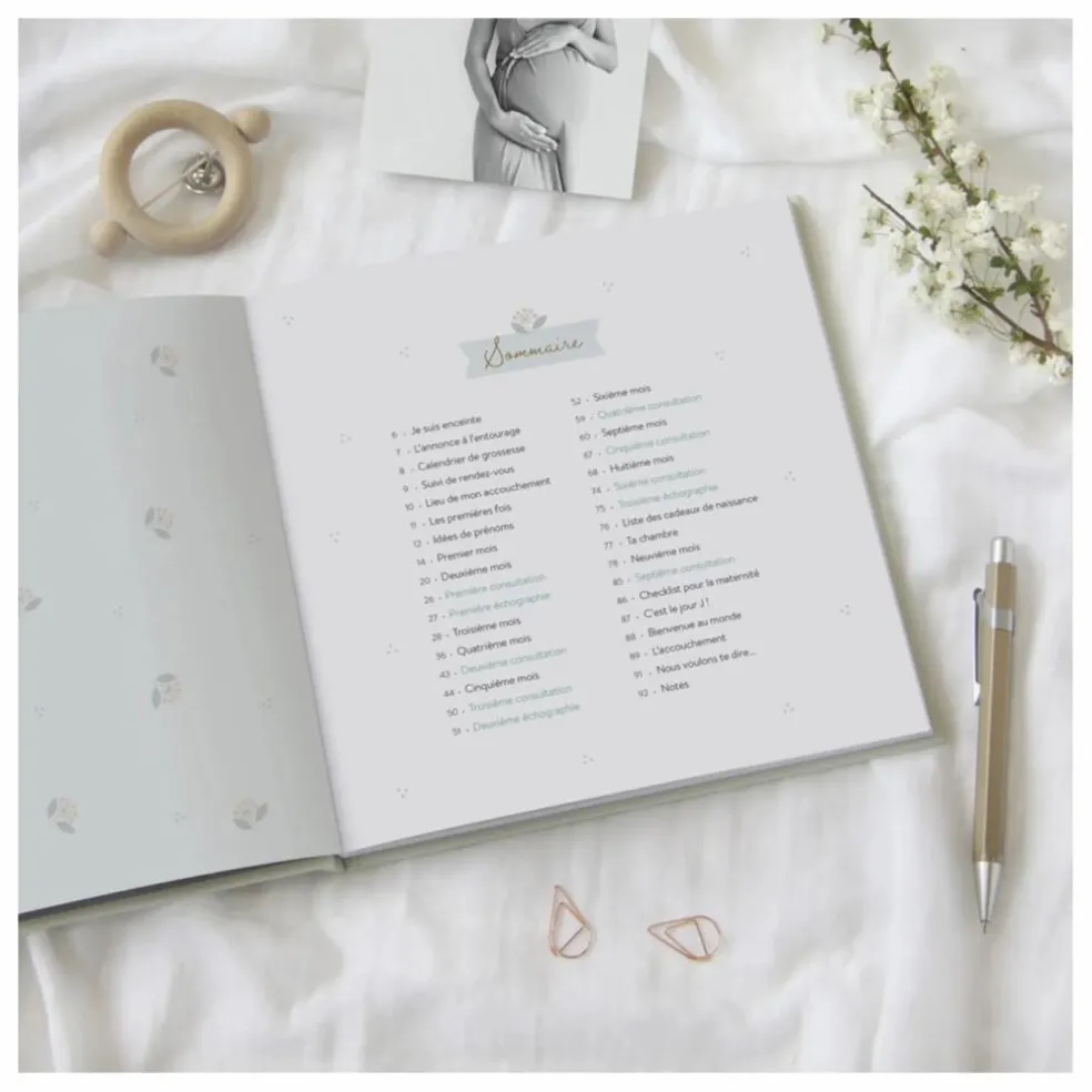 Journal de grossesse