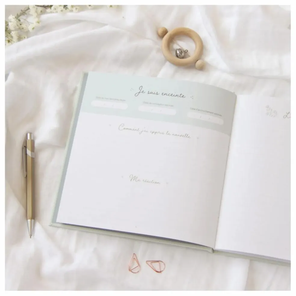 Journal de grossesse