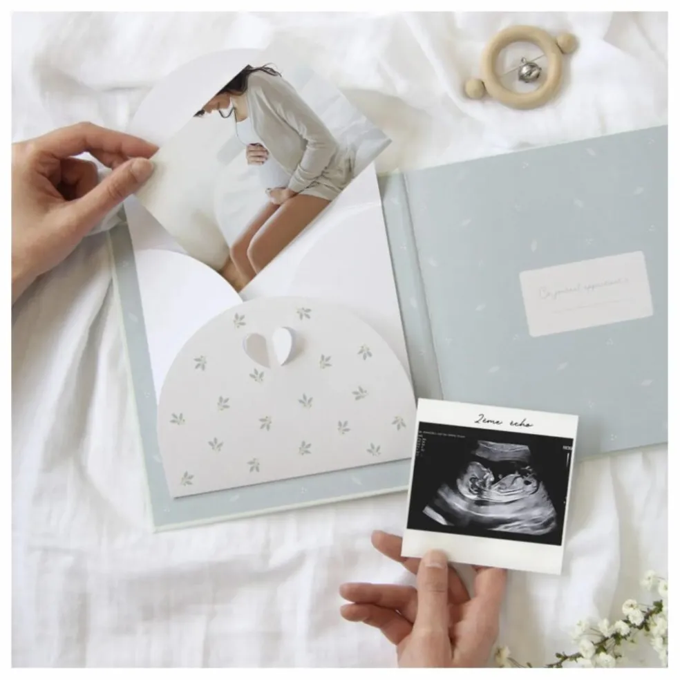 Journal de grossesse