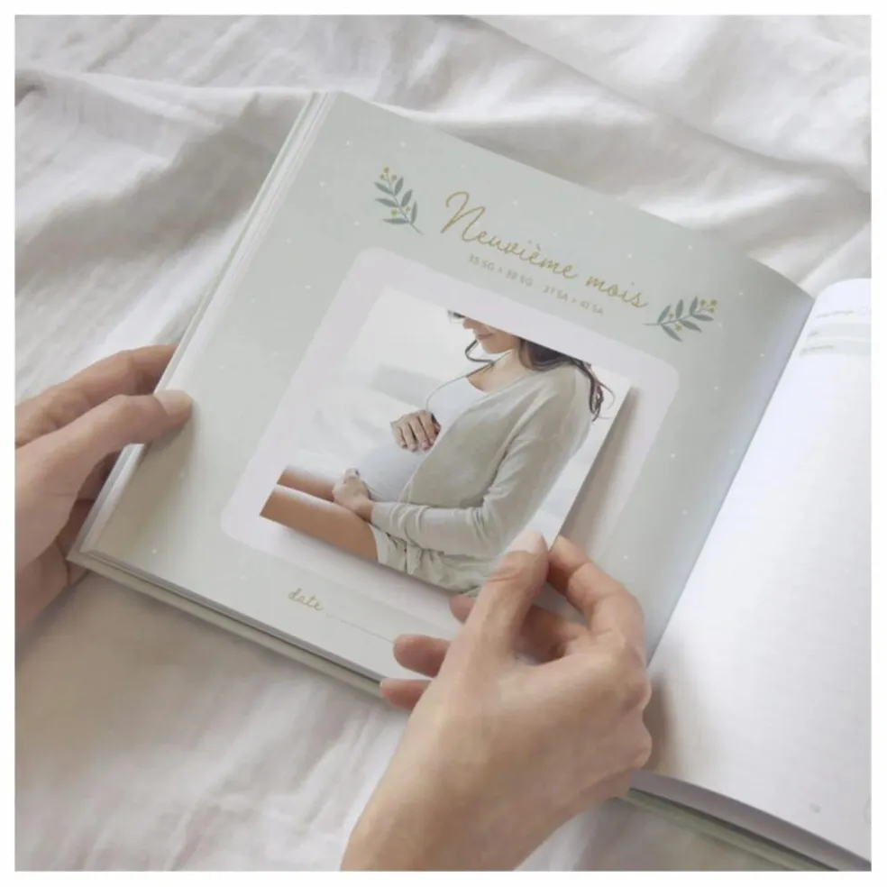 Journal de grossesse