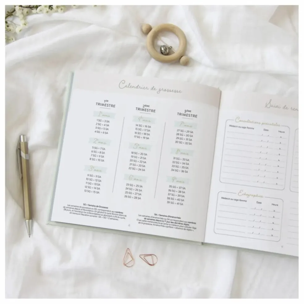 Journal de grossesse