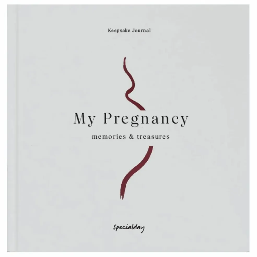 Journal de grossesse My Pregnancy - EN | Bleu gris