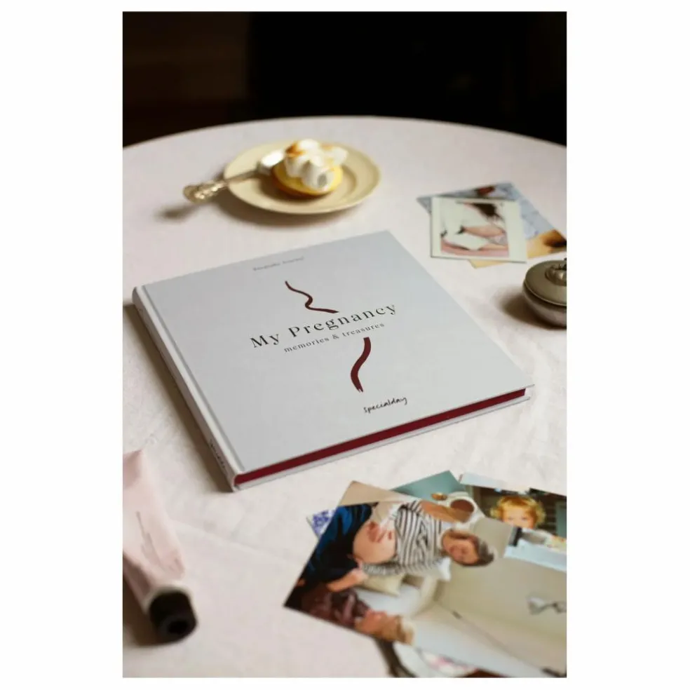 Journal de grossesse My Pregnancy - EN | Bleu gris