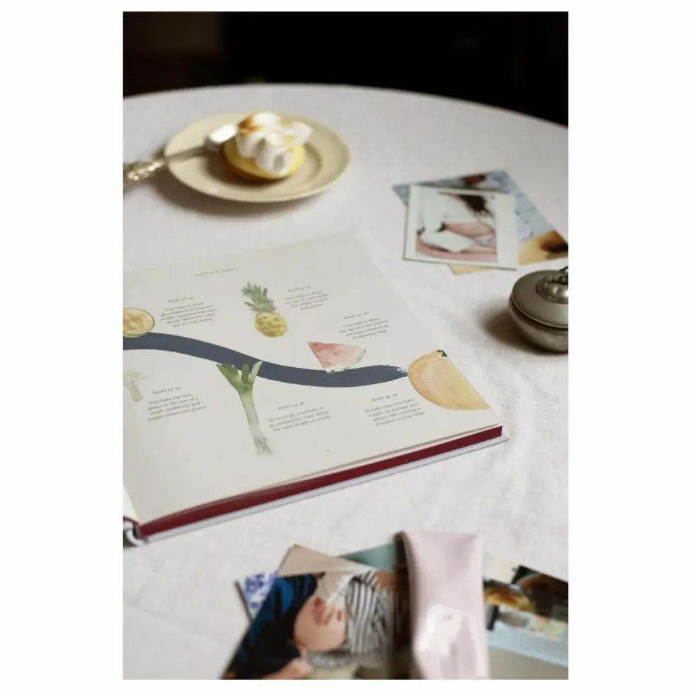 Journal de grossesse My Pregnancy - EN | Bleu gris