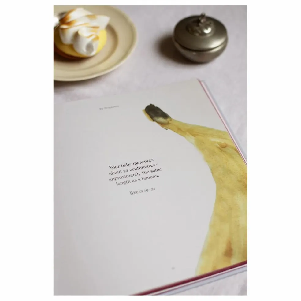 Journal de grossesse My Pregnancy - EN | Bleu gris