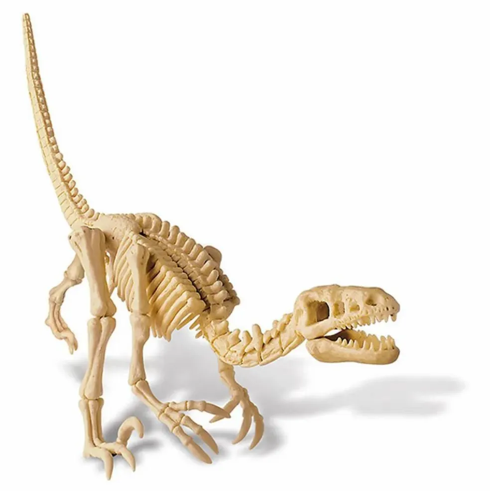 Kit déterre ton dinosaure Vélociraptor