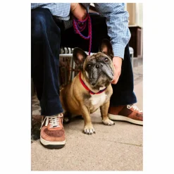 Laisse réglable | Bleu