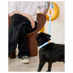 Laisse réglable pour chien | Bleu ciel