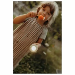 Lampe de poche multi-fonction Flashlight | Sauge