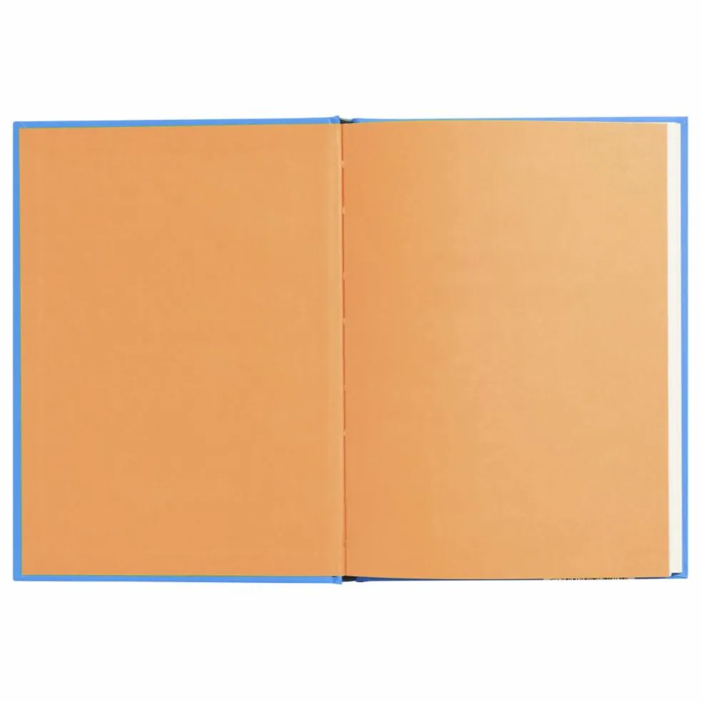 Livre Le nouvel arrivant