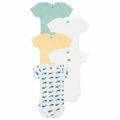 Lot 5 Bodies Baleine Coton Bio | Bleu canard