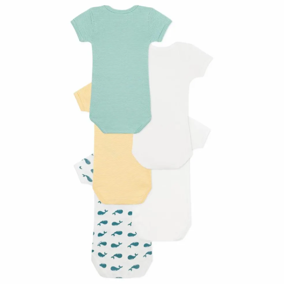 Lot 5 Bodies Baleine Coton Bio | Bleu canard