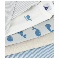 Lot 5 Bodies Baleines | Bleu