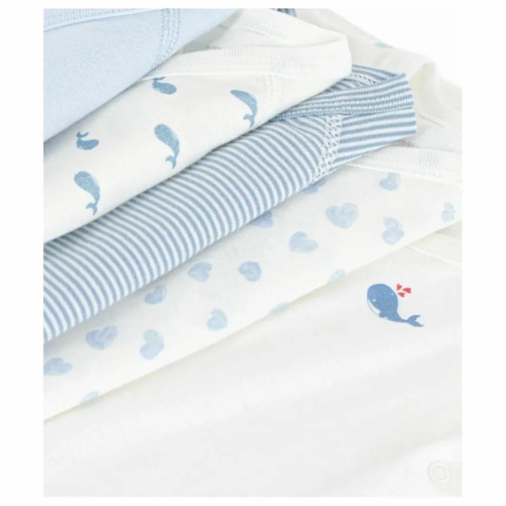 Lot 5 Bodies Cache-Coeur Baleines Coton Bio | Bleu