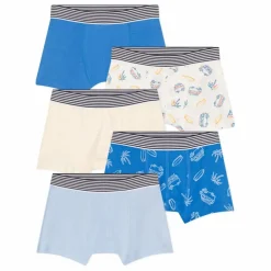 Lot 5 Boxers Blueboard Coton Bio | Bleu