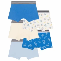 Lot 5 Boxers Blueboard Coton Bio | Bleu