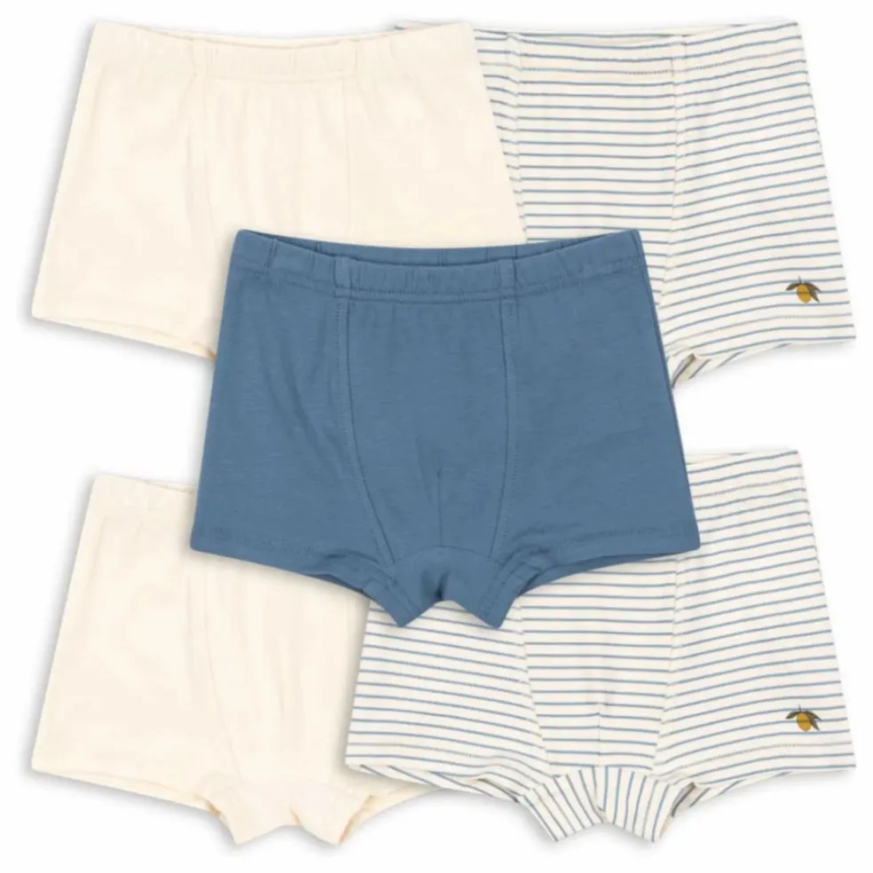 Lot 5 Boxers Citron Coton Bio | Beige