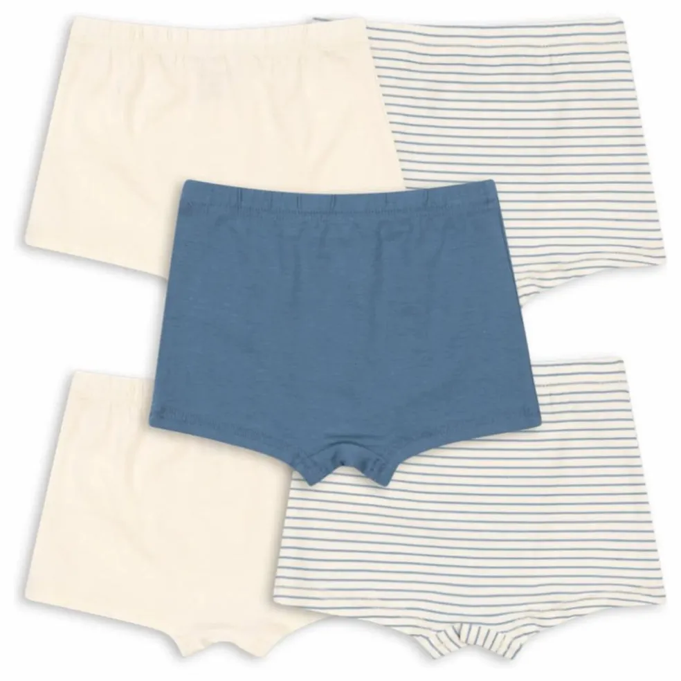 Lot 5 Boxers Citron Coton Bio | Beige